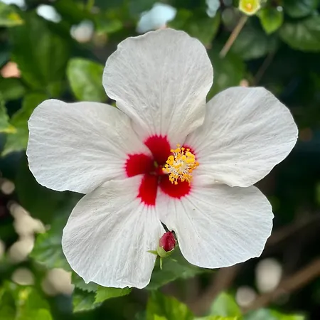Casa de hóspedes Open Sky