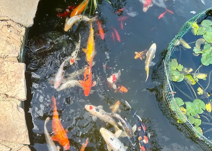 Guest house Open Sky