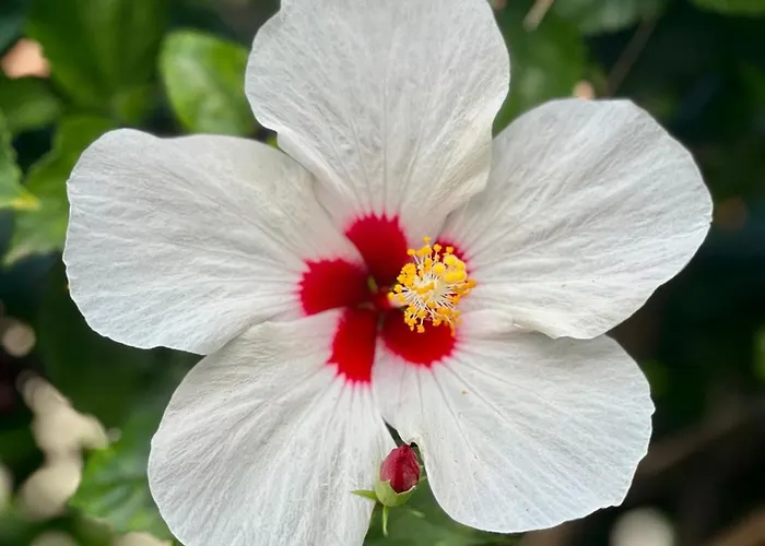 Guest house Open Sky